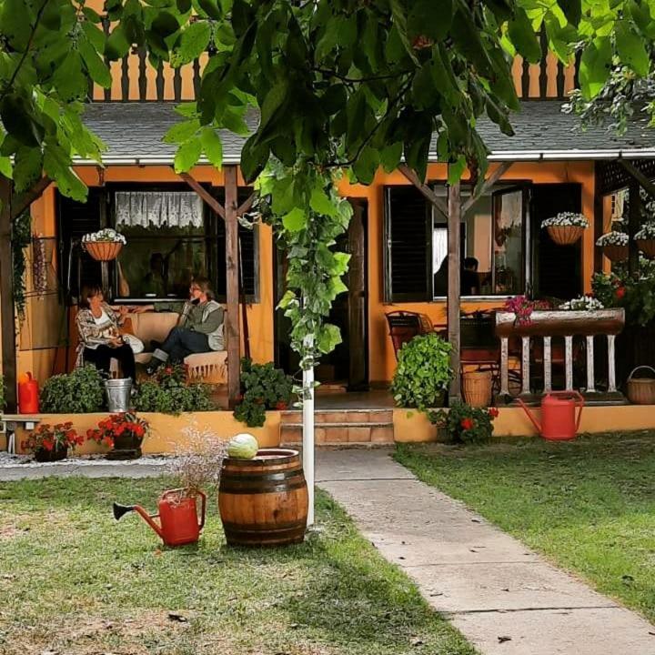 Kuca Ribarev San Villa Beocin Ngoại thất bức ảnh