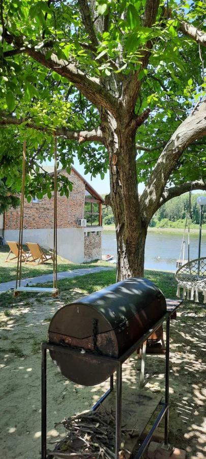 Kuca Ribarev San Villa Beocin Ngoại thất bức ảnh