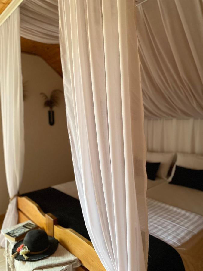 Kuca Ribarev San Villa Beocin Ngoại thất bức ảnh